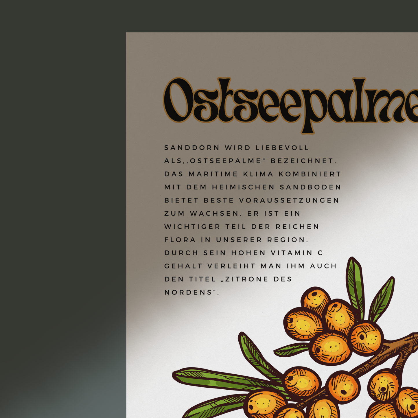 Ostseepalme