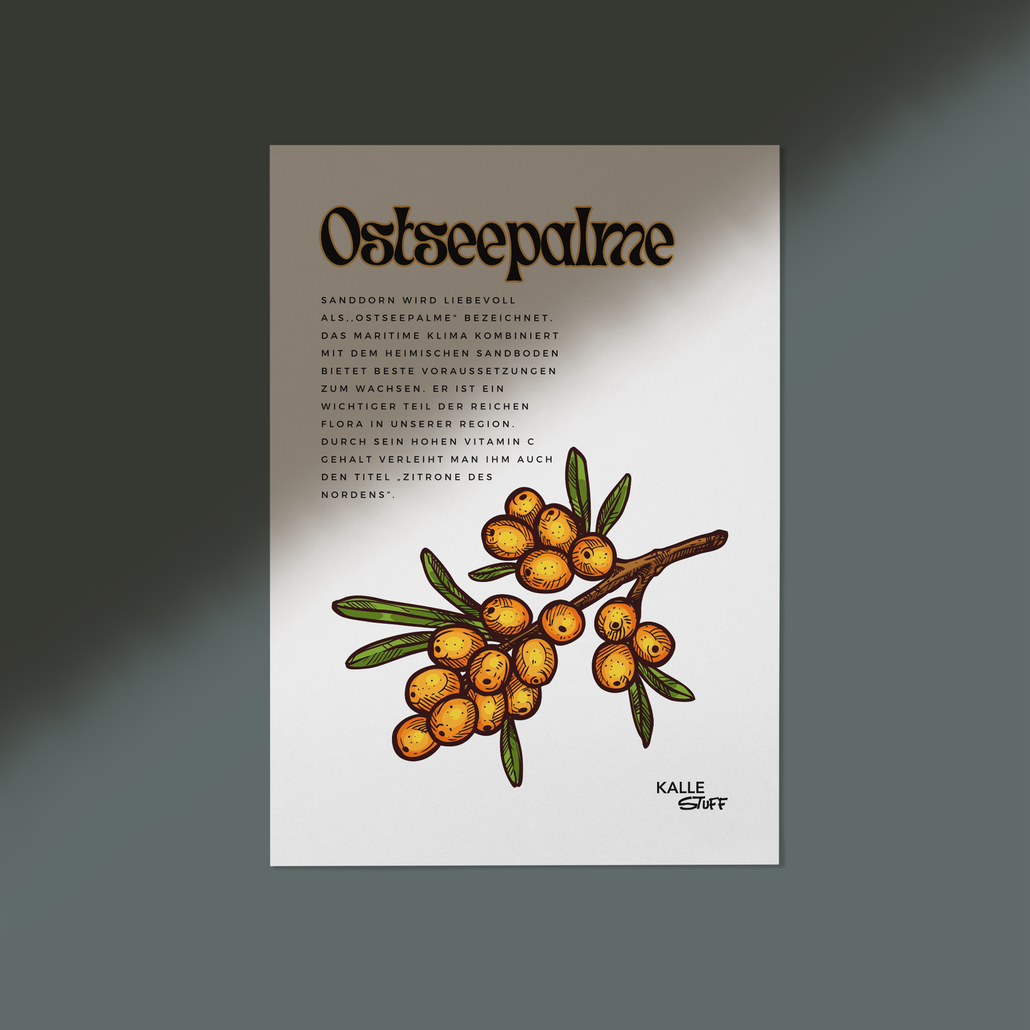 Ostseepalme