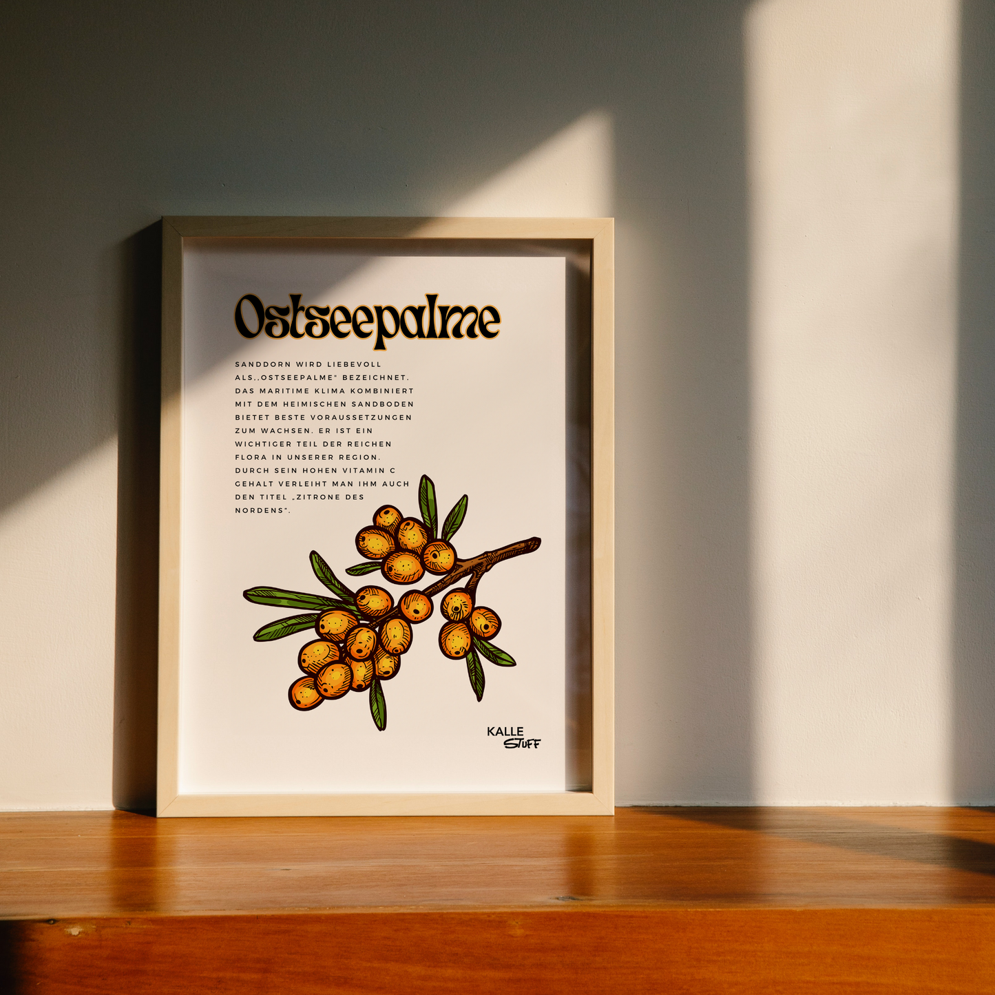 Ostseepalme